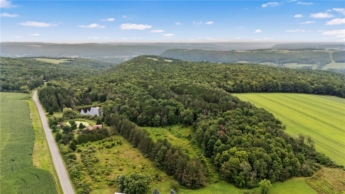 5191 Nipher Road Avoca, NY 14810 - Photo 6 of 50