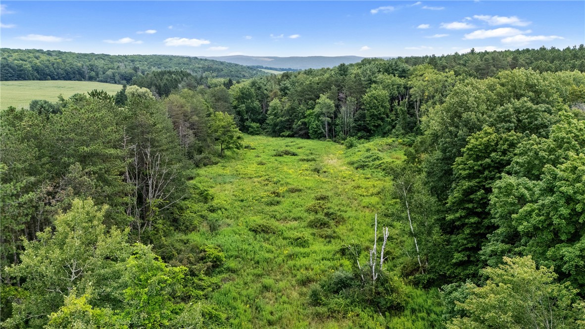 5191 Nipher Road Avoca, NY 14810 - Photo 7 of 50