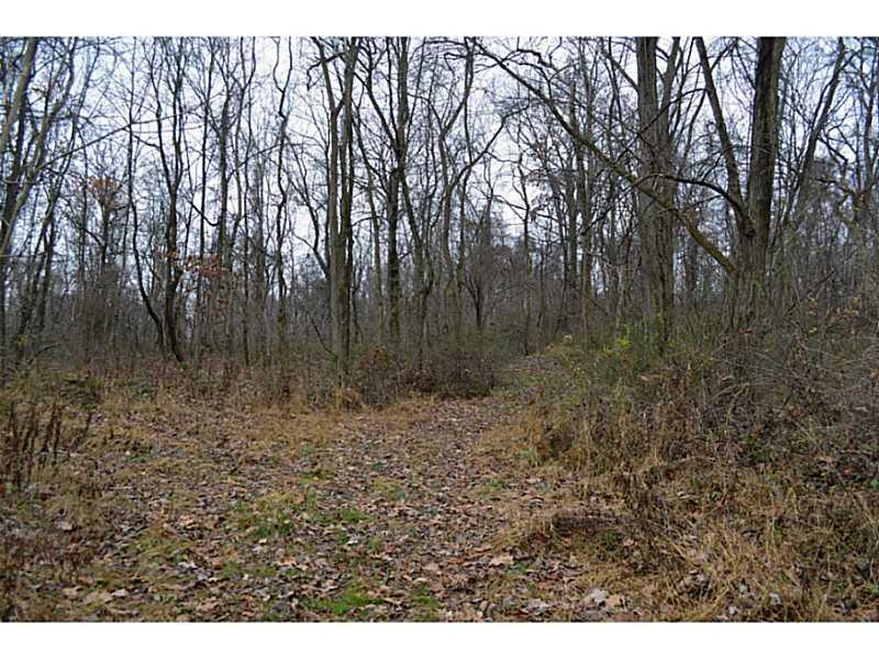 Pfeffer Road Export, PA 15632 - Photo 4 of 12 Land.