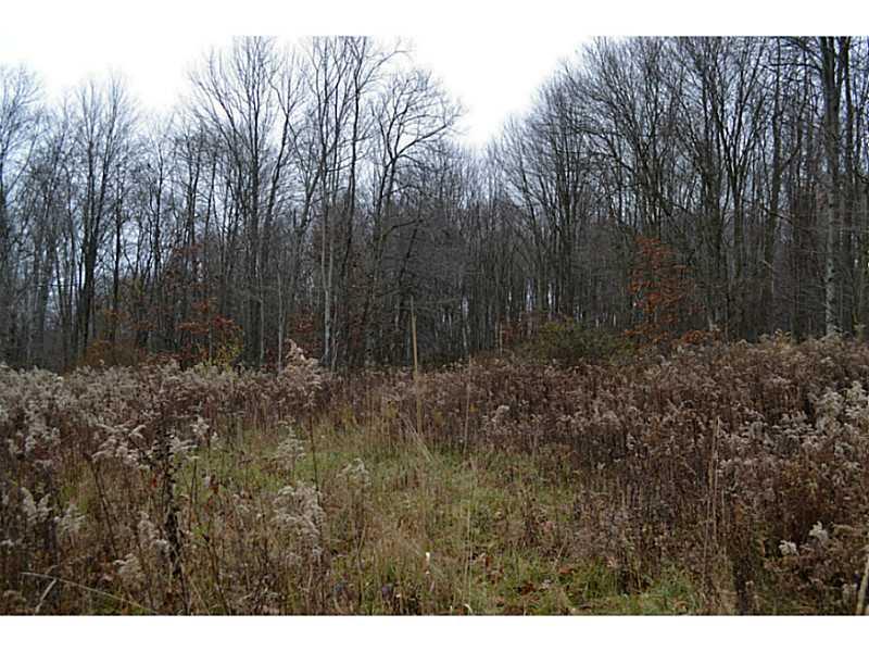 Pfeffer Road Export, PA 15632 - Photo 7 of 12 Land.