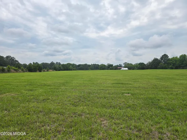 $75,000 | Lot 8 Avera Road, Unit LOT B, Roberta, GA 31078