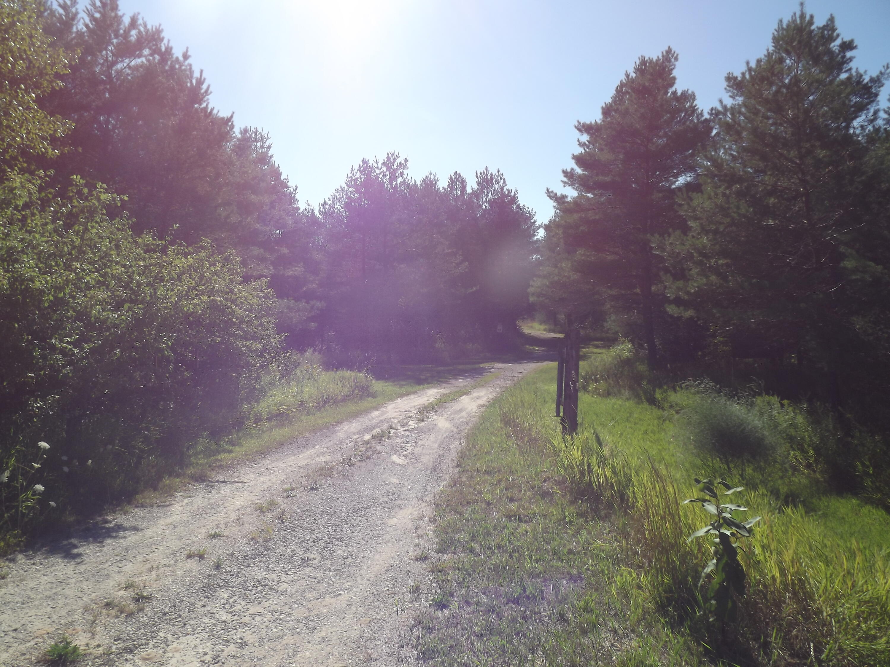 12250 Afton Road Wolverine, MI 49799 - Photo 68 of 69 Gallery Image 68