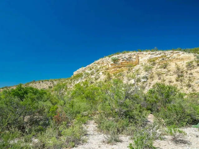 a view of a big yard