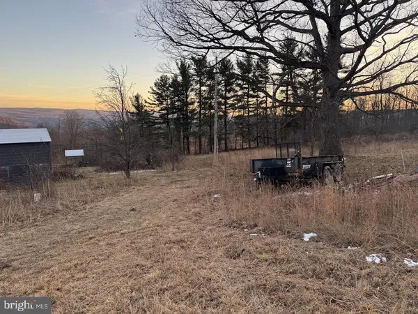 a view of a yard with a tree