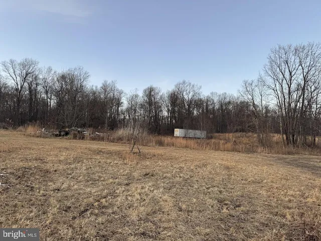 a view of backyard with green space