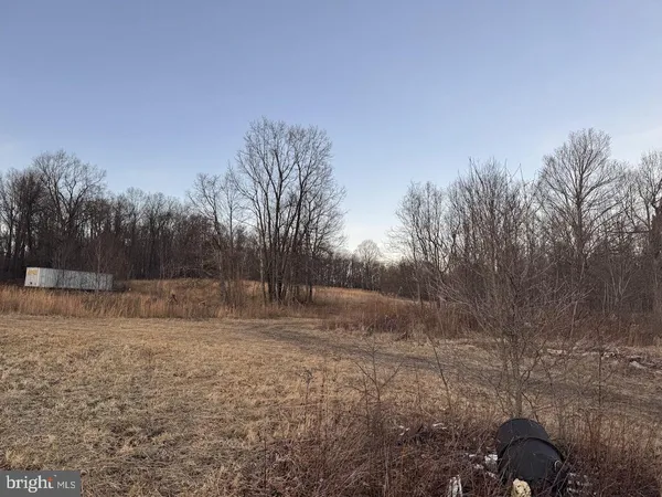 a backyard of a house with large trees
