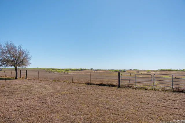 a view of a small yard
