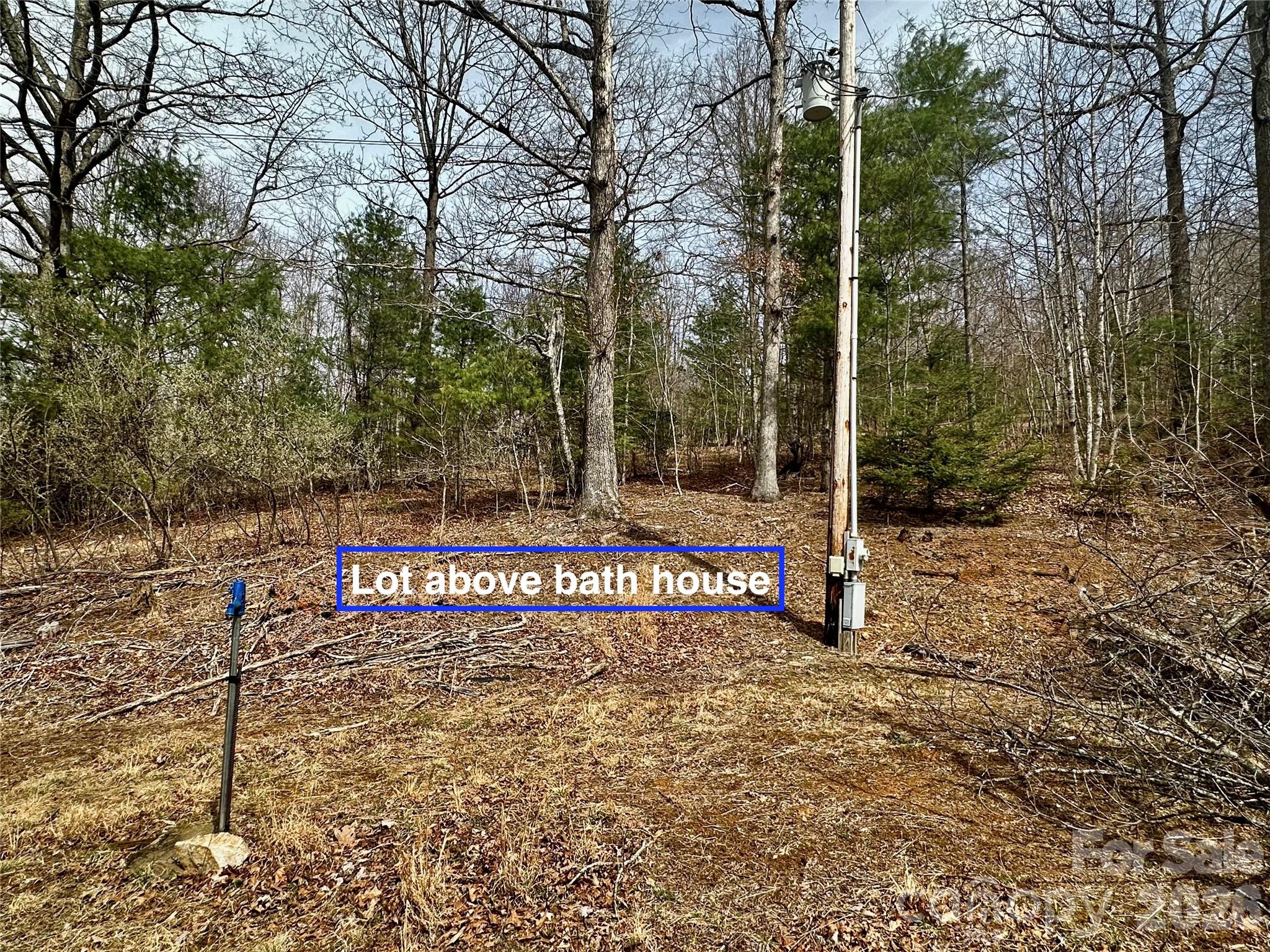 65 Blue Ridge Cherokee, NC 28719 - Photo 8 of 14