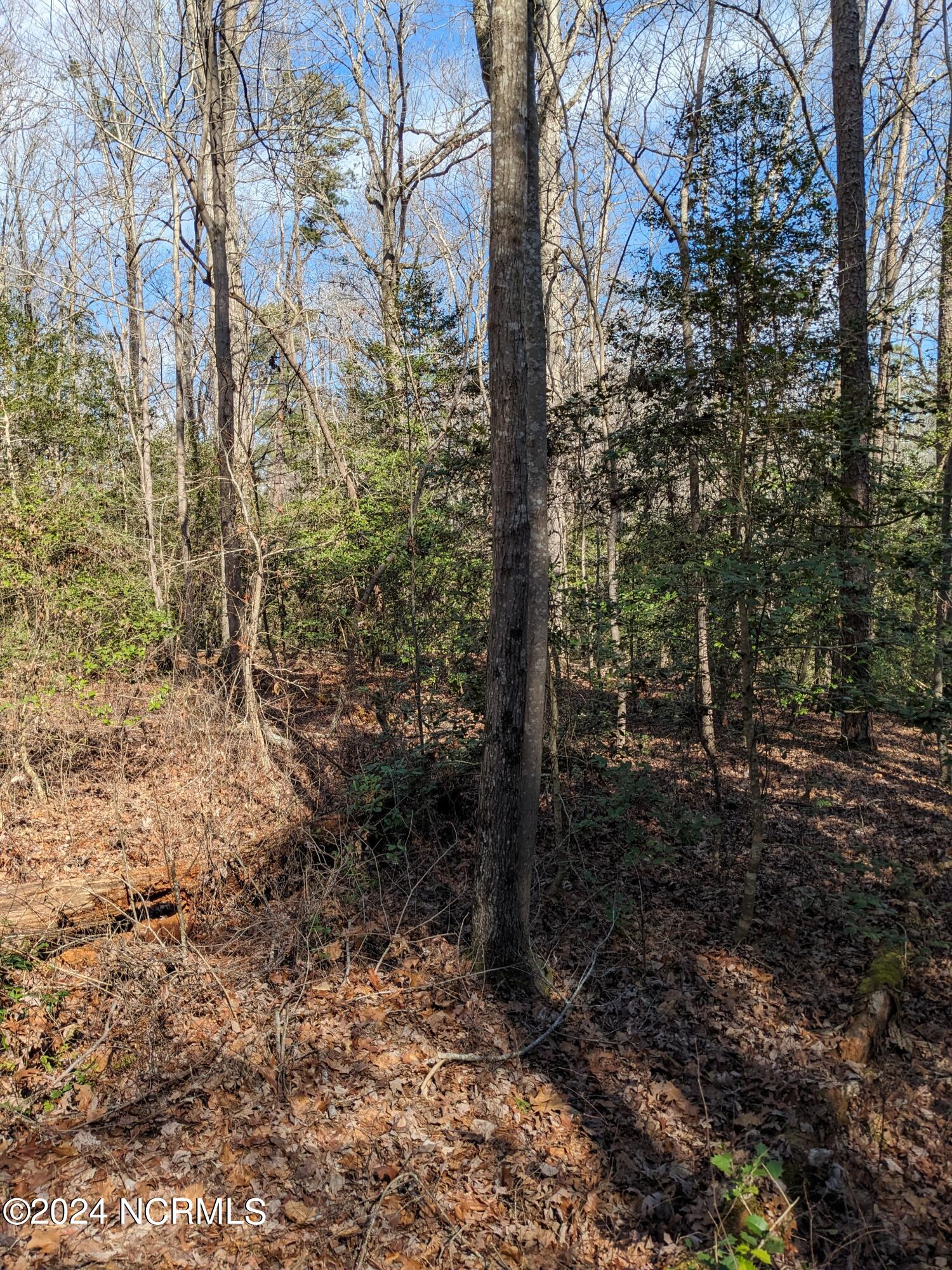 698 Gilchrist Road Cameron, NC 28326 - Photo 5 of 35 PXL_20240215_173637943