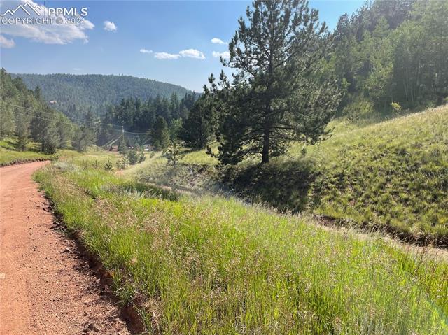 113 Beaver Pond Road Divide, CO 80814 - Photo 6 of 6 Gallery Image 6