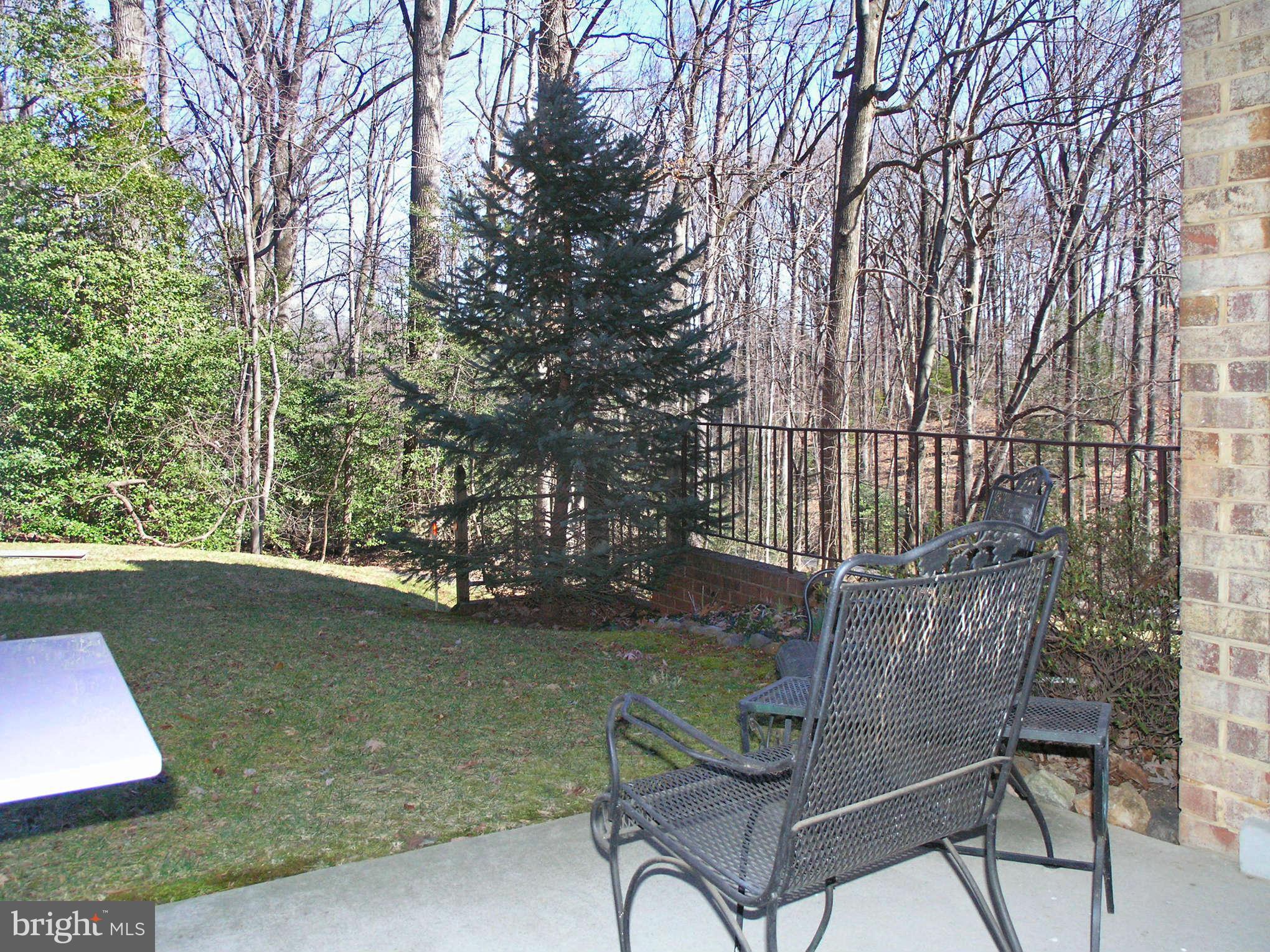 11615 Vantage Hill Road, Unit 1A Reston, VA 20190 - Photo 16 of 27 Private Patio with tremendous views
