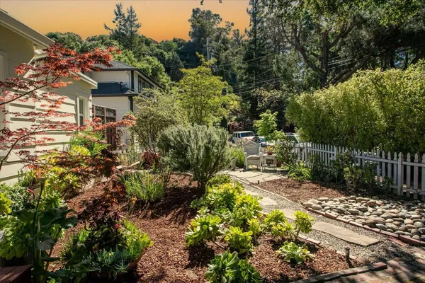 a view of a garden with pathway