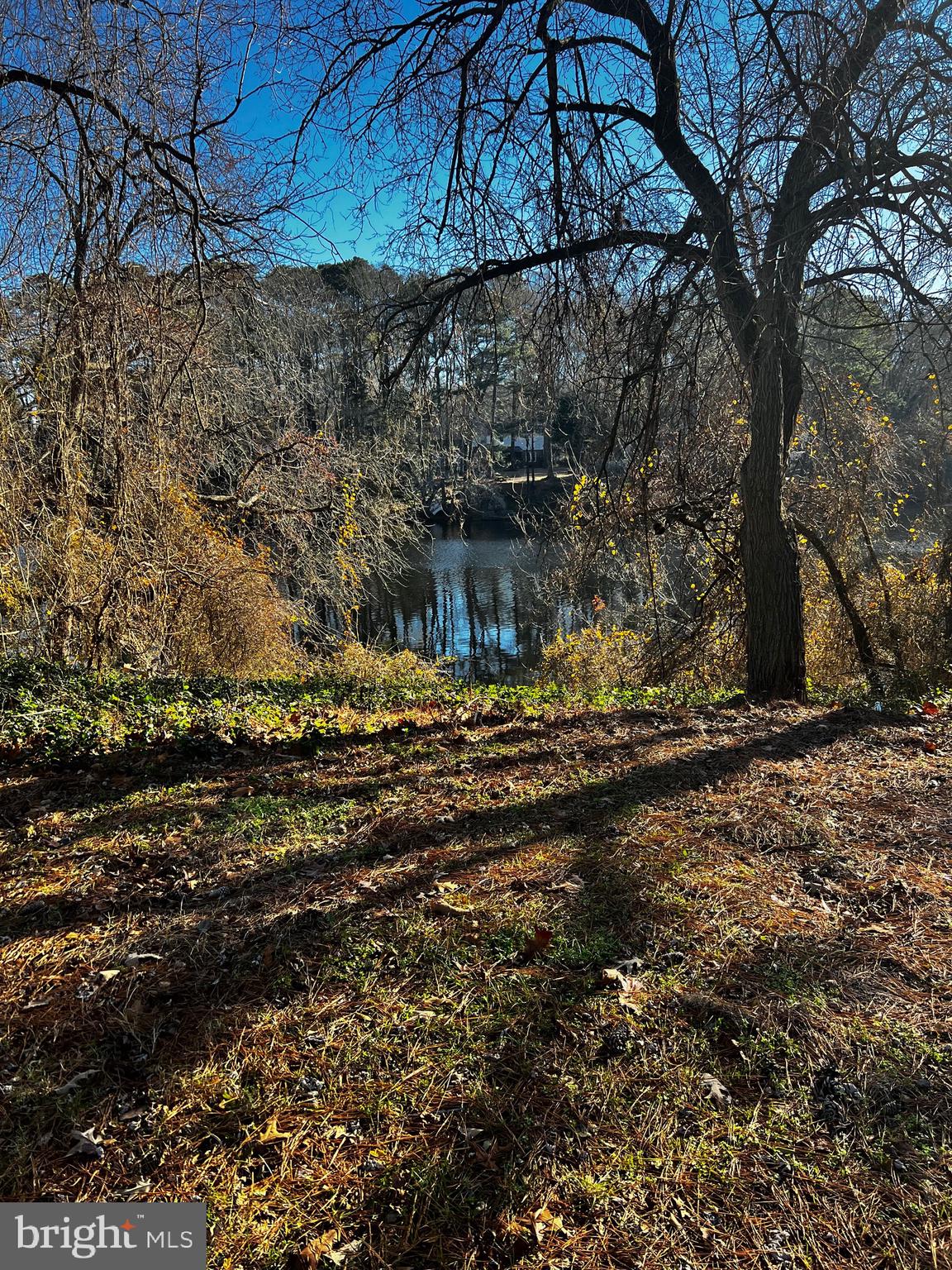 1305 Flamingo Road Salisbury, MD 21801 - Photo 4 of 16