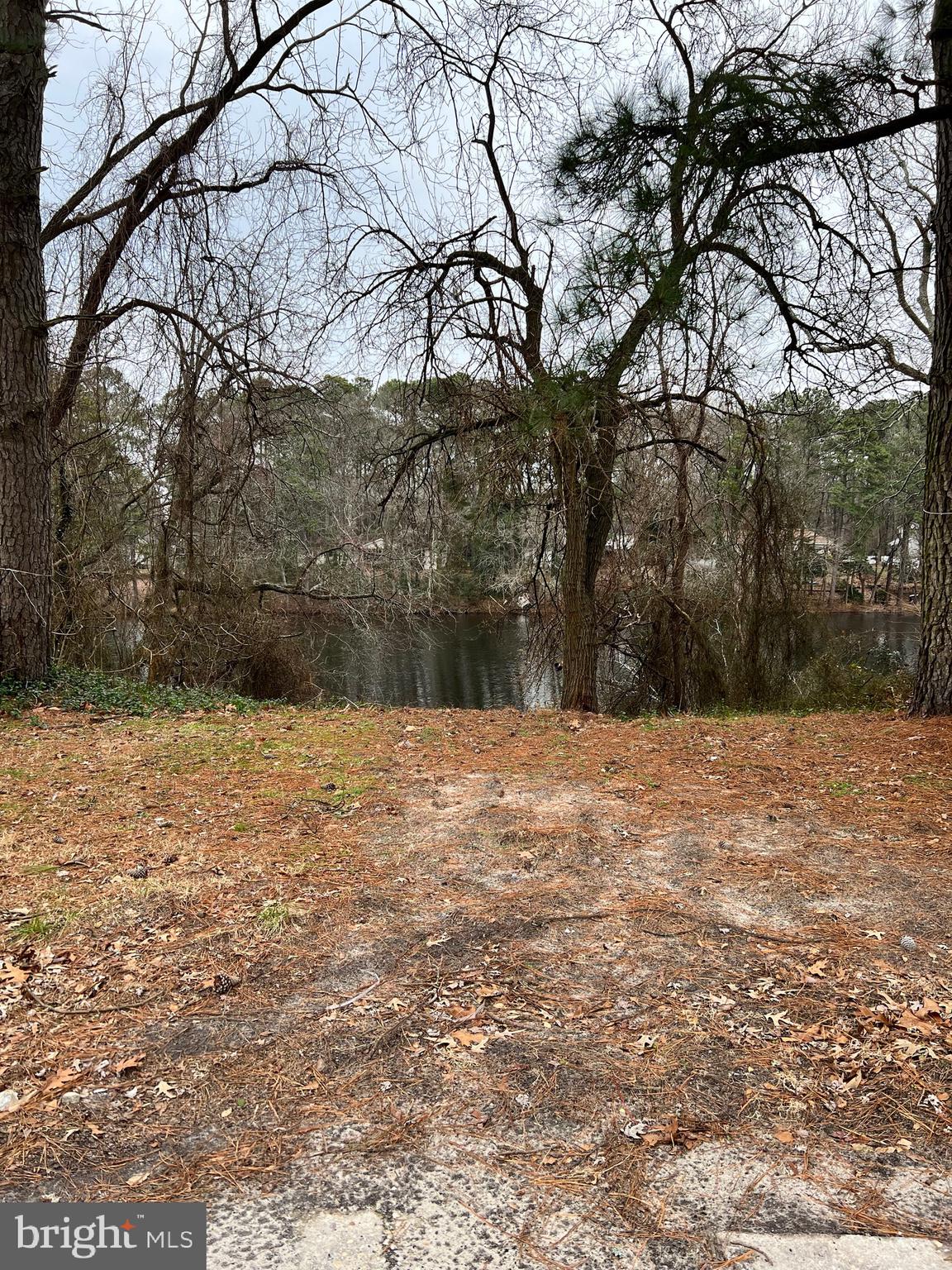 1305 Flamingo Road Salisbury, MD 21801 - Photo 5 of 16