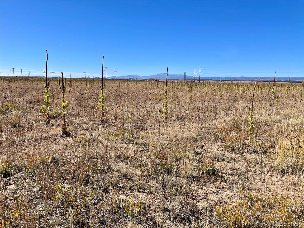 2 County Road 98 Elbert, CO 80106 - Photo 5 of 7