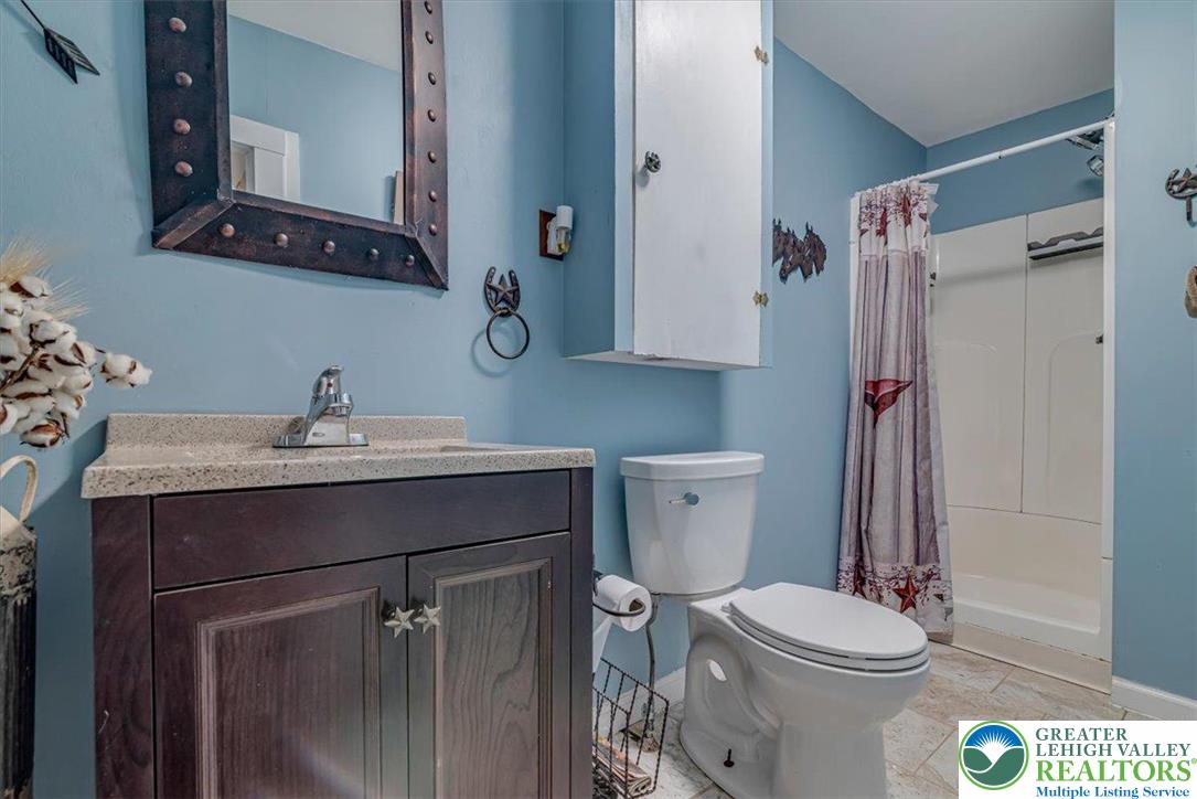 173 Anchorage Road Saylorsburg, PA 18353 - Photo 28 of 75 a bathroom with a sink a toilet a mirror and shower