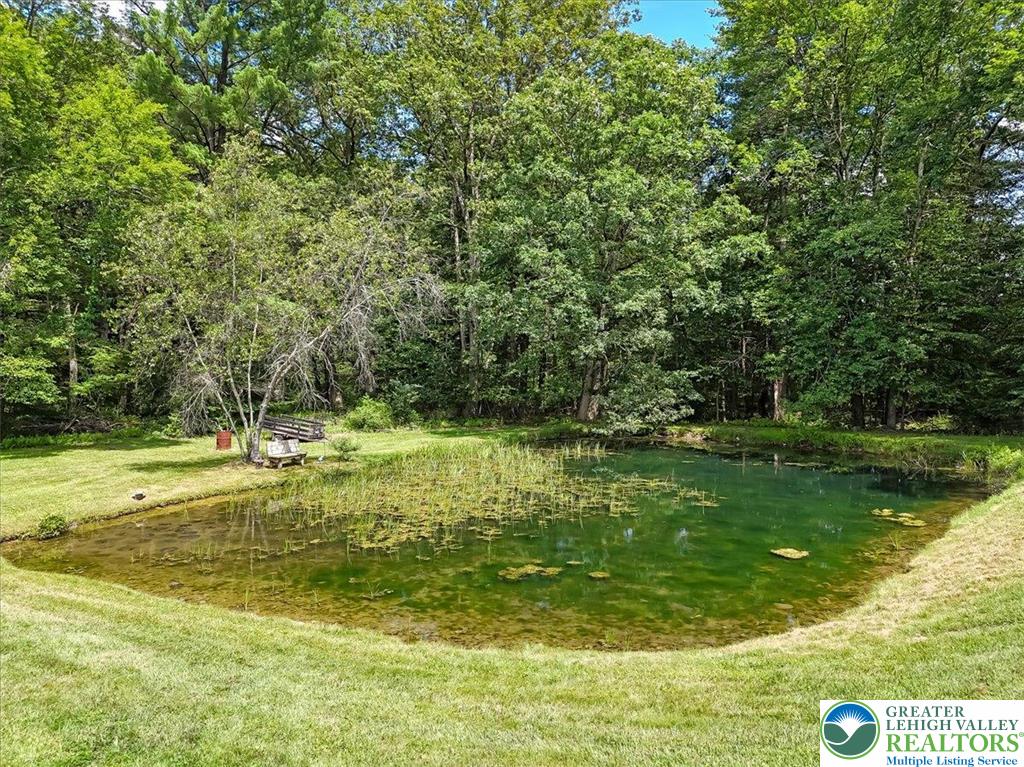 173 Anchorage Road Saylorsburg, PA 18353 - Photo 59 of 75 a view of a water fountain and an outdoor space