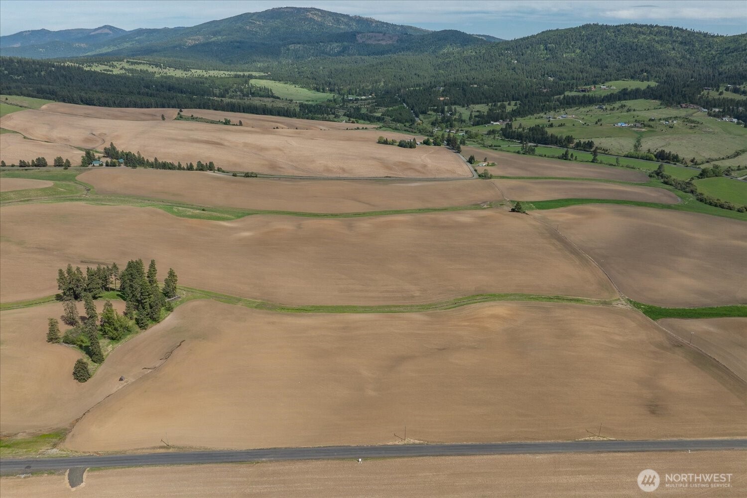 -xxx South Jackson Road, Unit LOT 17 Mica, WA 99023 - Photo 16 of 40