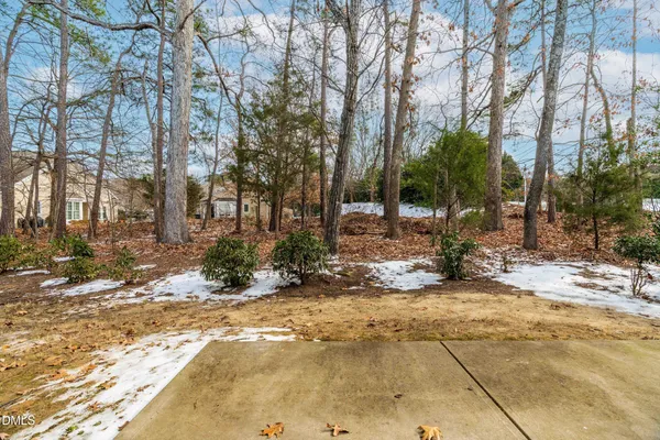 a view of a yard with a tree