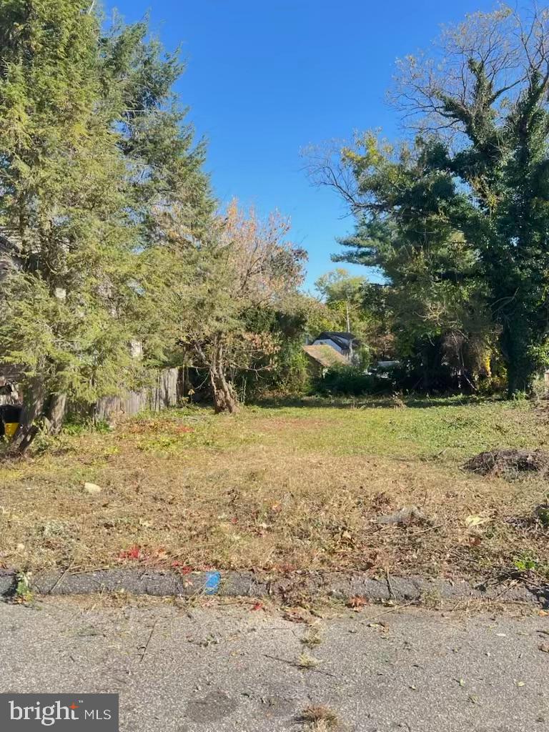57 Hazel Lane Pine Hill, NJ 08021 - Photo 3 of 4 a view of yard