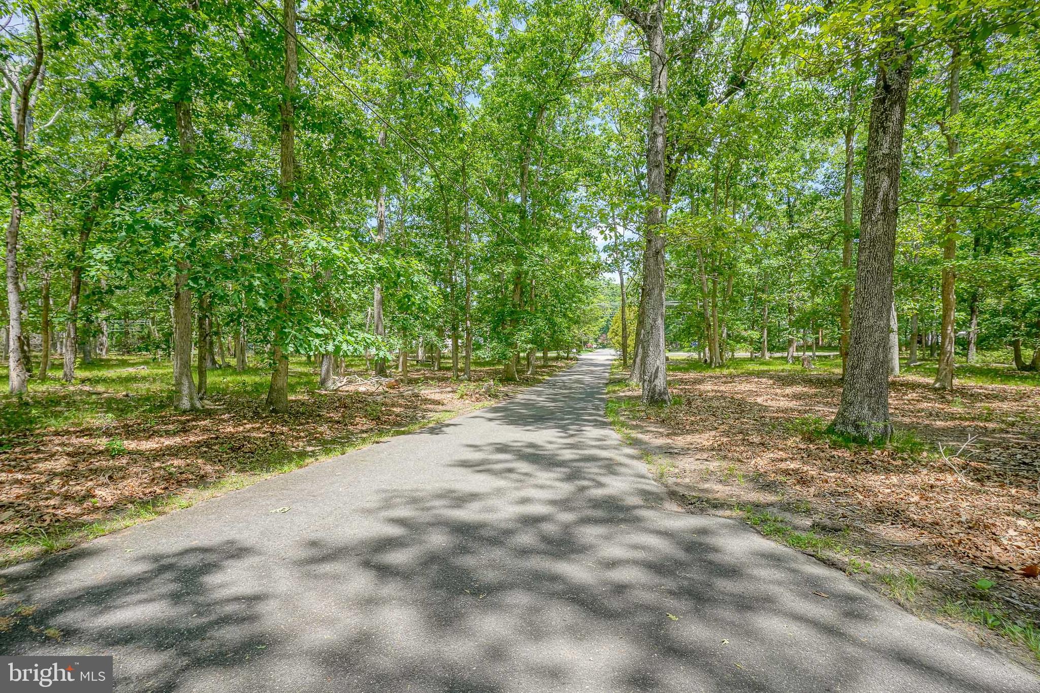 131 Tuckerton Road Shamong, NJ 08088 - Photo 35 of 35