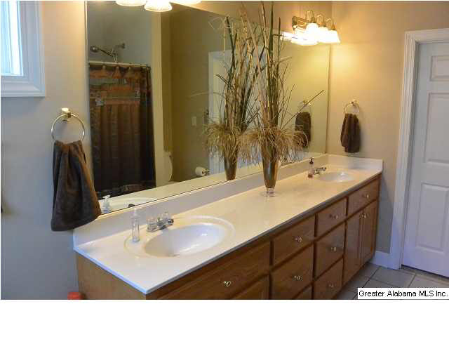 410 Trellis Circle Springville, AL 35146 - Photo 18 of 25