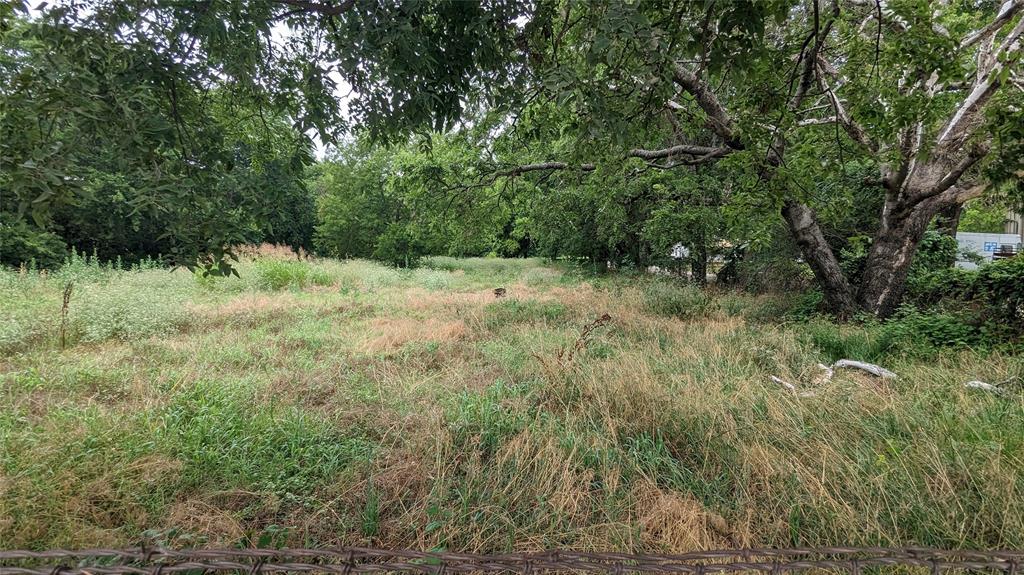 1214 Witherspoon Street Gainesville, TX 76240 - Photo 3 of 5 a view of a yard with a tree