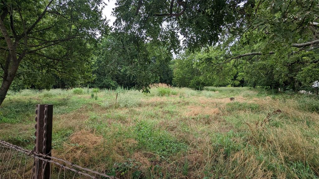 1214 Witherspoon Street Gainesville, TX 76240 - Photo 4 of 5 a view of a yard with large trees