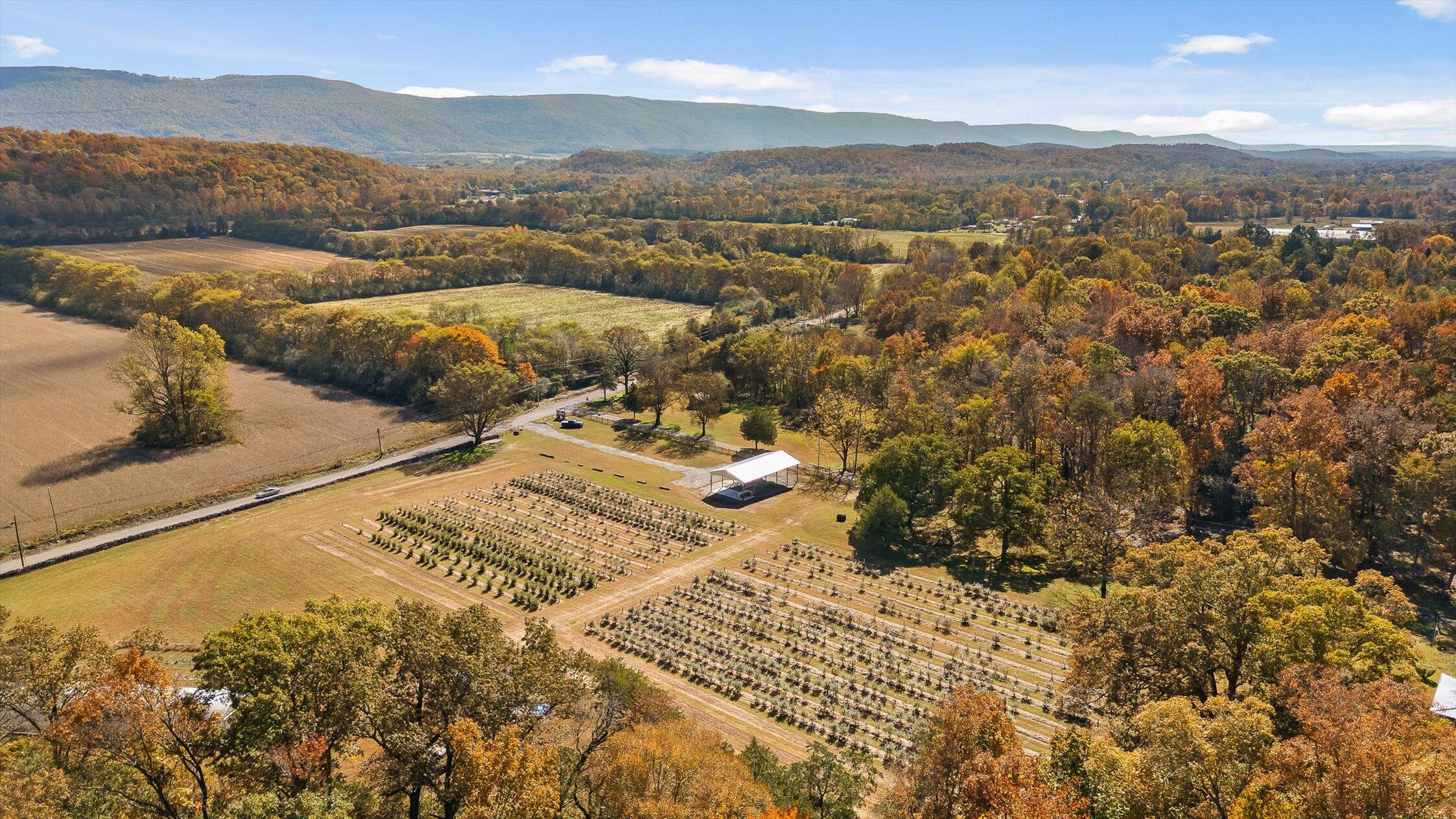 79 Britt Road Dunlap, TN 37327 - Photo 42 of 56 27-Dunlap-27