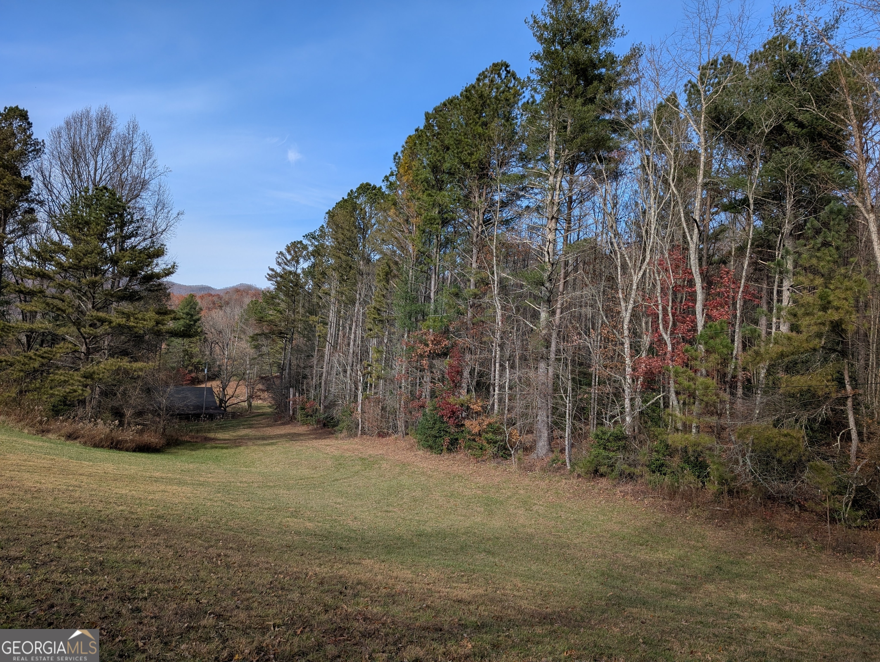 2 Mr Bert Road, Unit 2 Hiawassee, GA 30546 - Photo 3 of 8 a view of a field with trees in the background