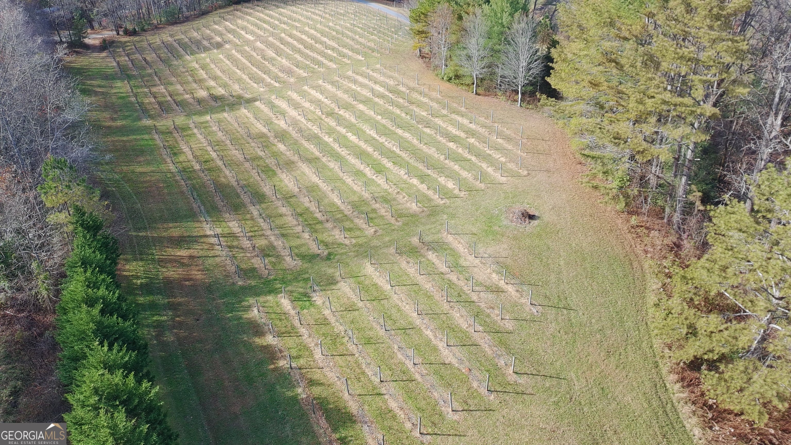 2 Mr Bert Road, Unit 2 Hiawassee, GA 30546 - Photo 5 of 8 a bathroom with a shower