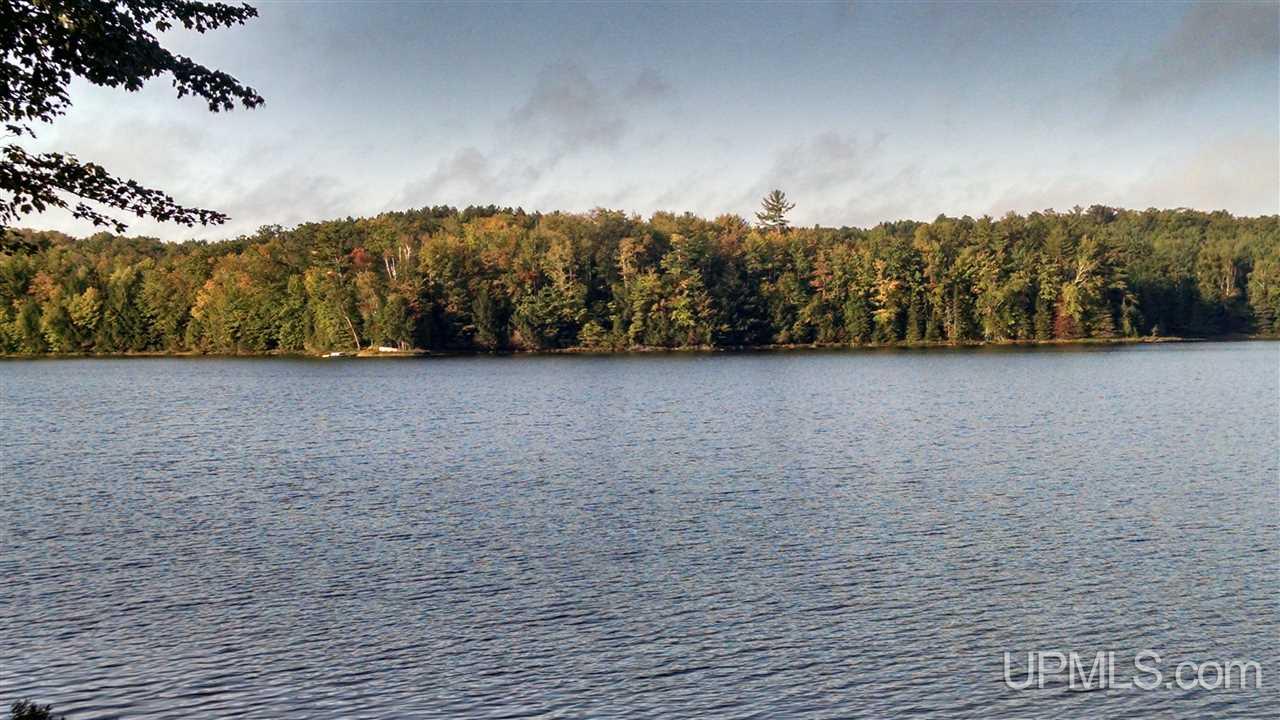 145 North Engman Lake Road Skandia, MI 49885 - Photo 1 of 6