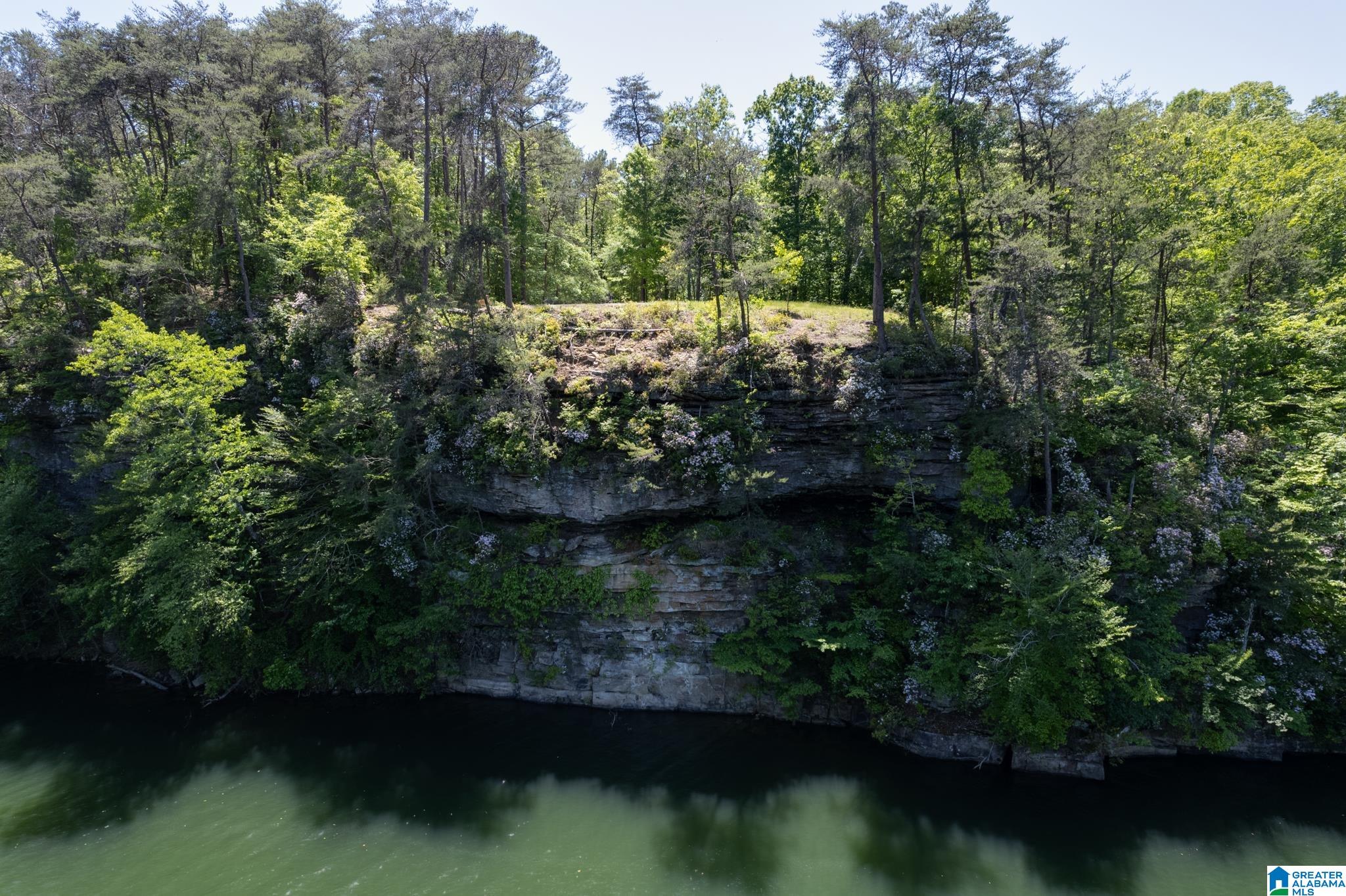 71 County Road Bremen, AL 35033 - Photo 1 of 13
