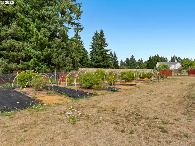 a view of a tennis court