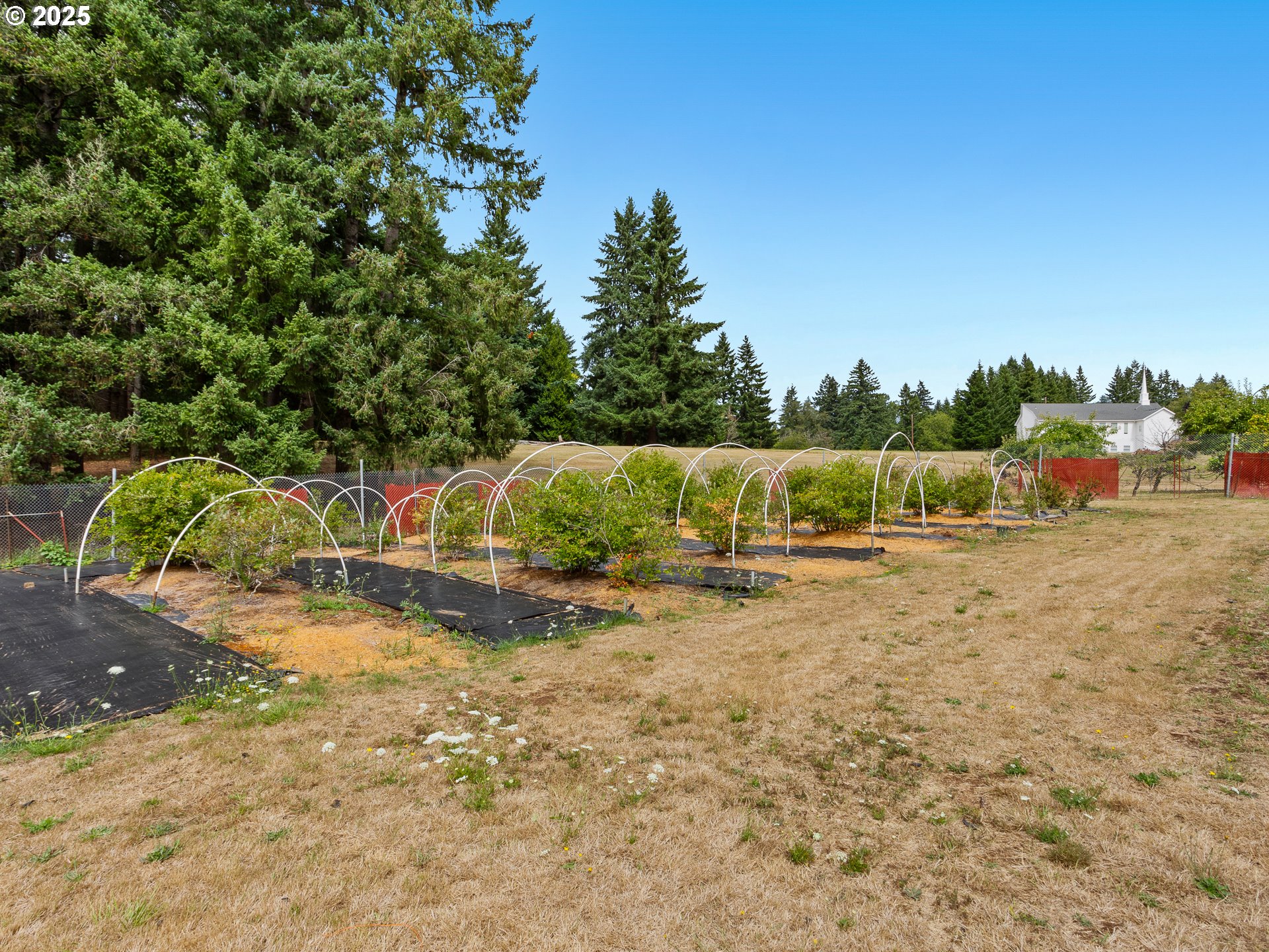 34603 Southeast Jarl Road Boring, OR 97009 - Photo 43 of 48 a view of a yard