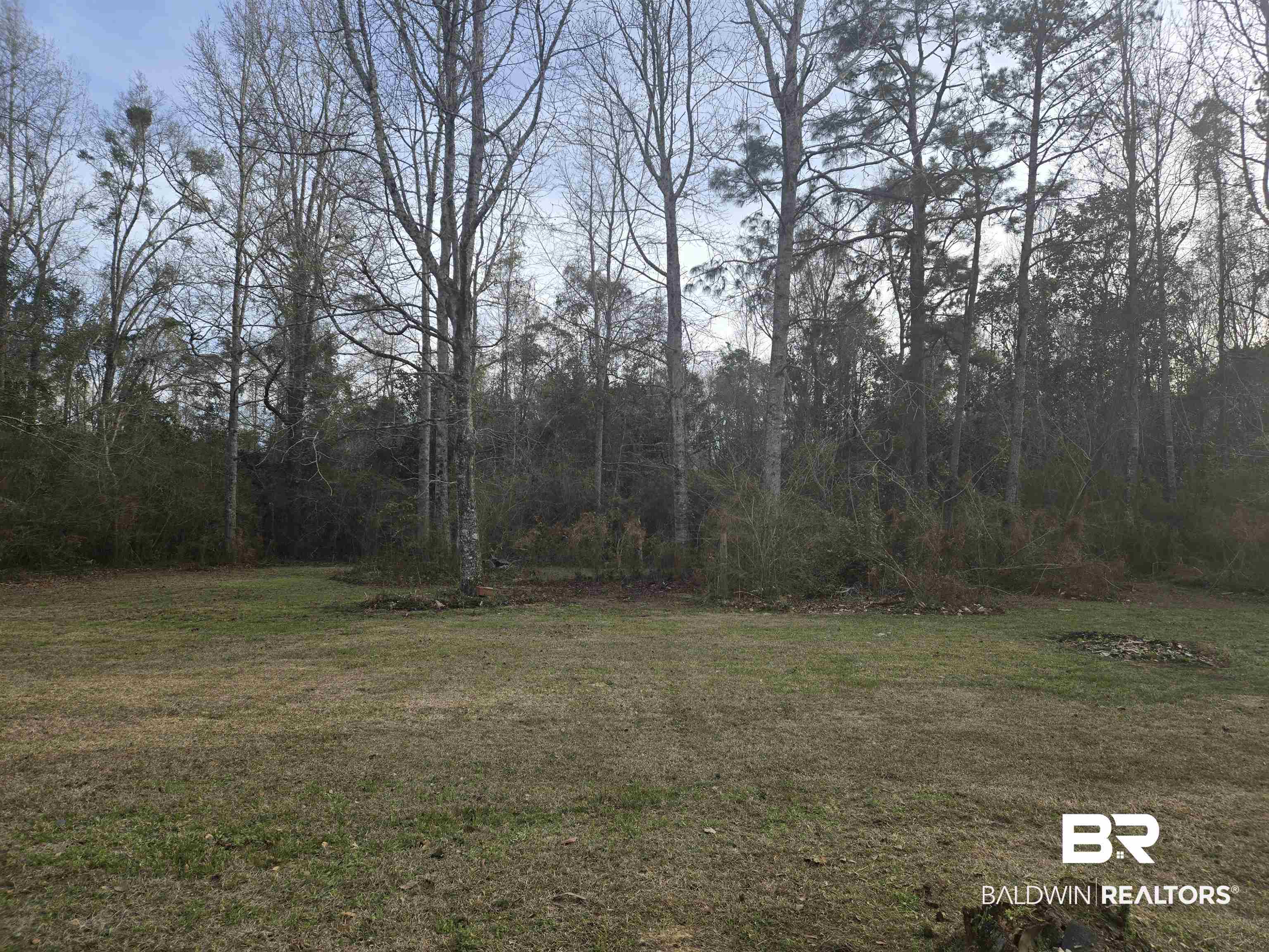16360 Tolbert Road Bay Minette, AL 36507 - Photo 14 of 14 Back Yard