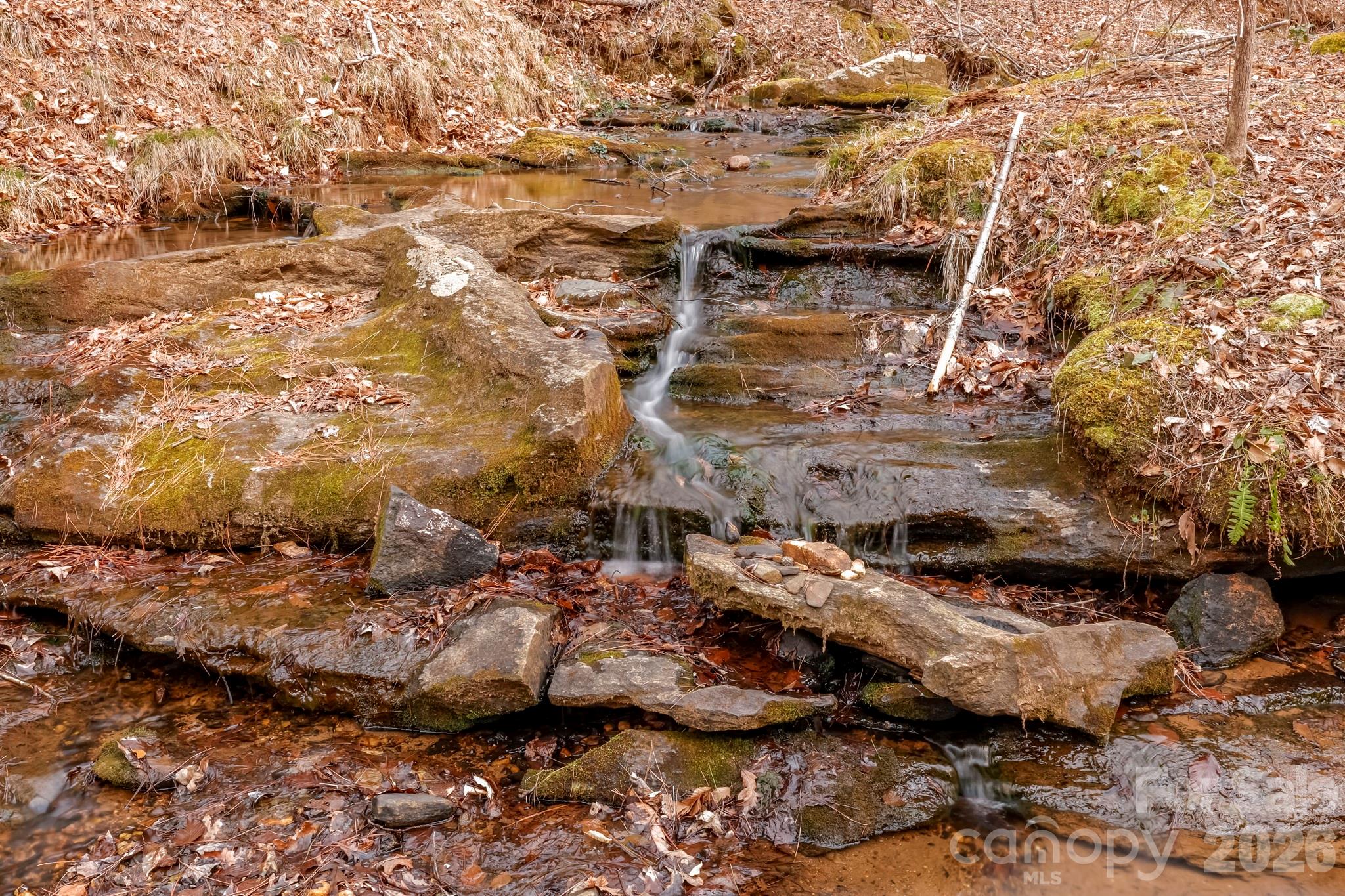 203 Burnt Chimney Lane Rutherfordton, NC 28139 - Photo 40 of 42