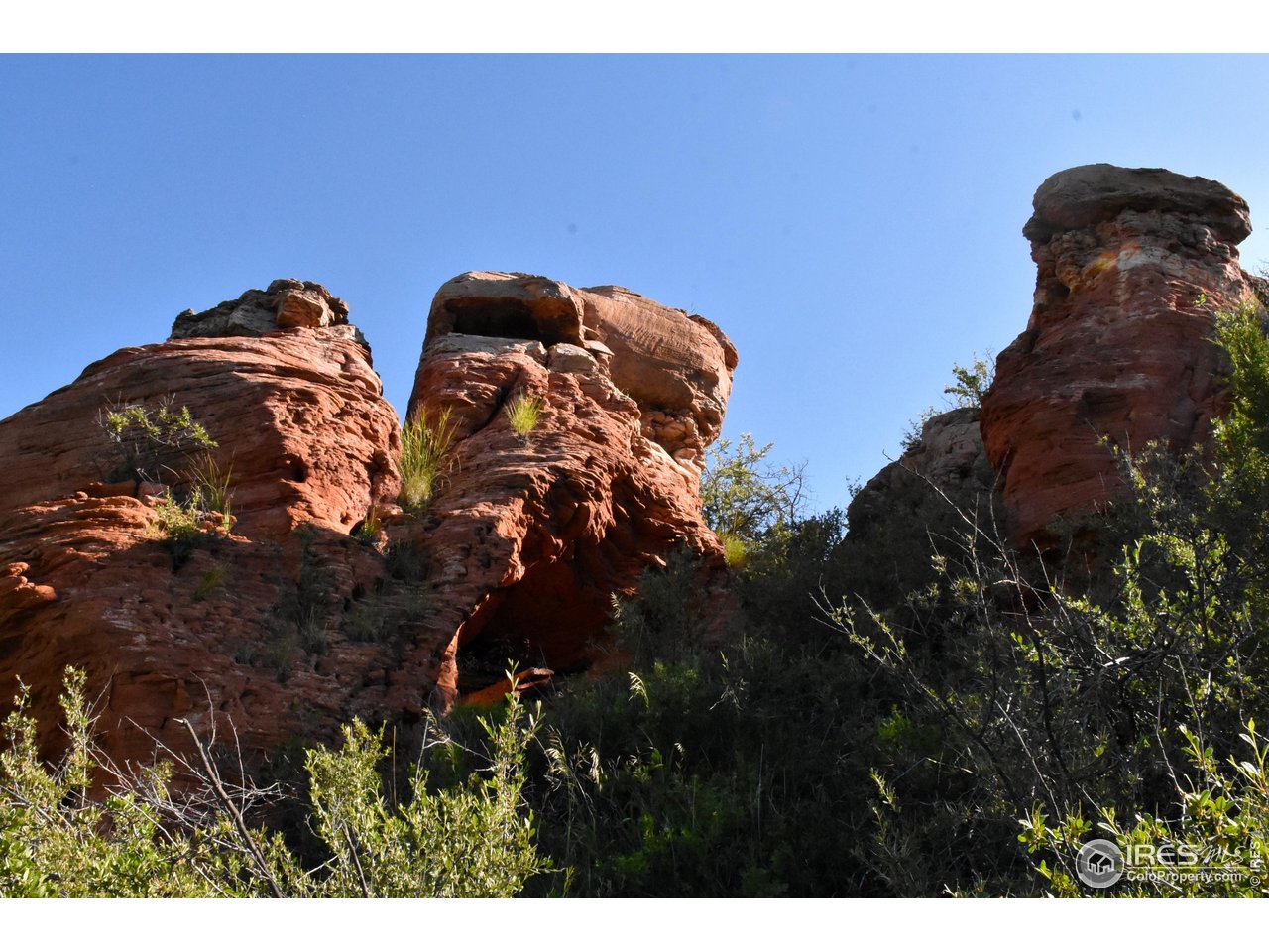 1364 Redbluff Road Livermore, CO 80536 - Photo 11 of 26