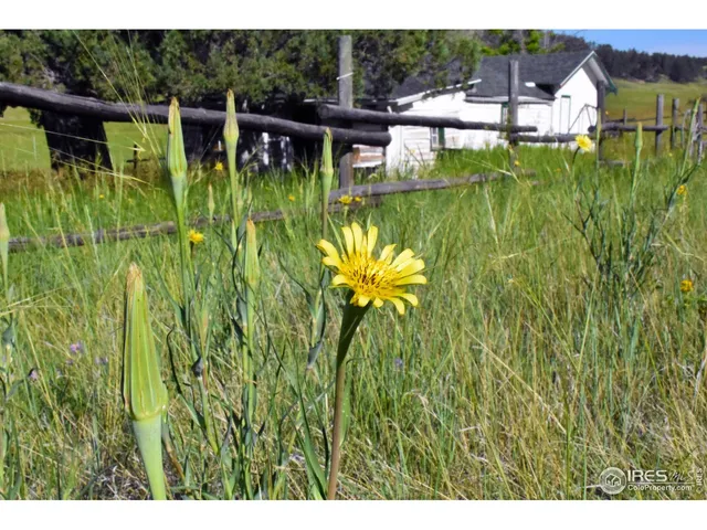 $389,000 | 1364 Redbluff Road, Livermore, CO 80536