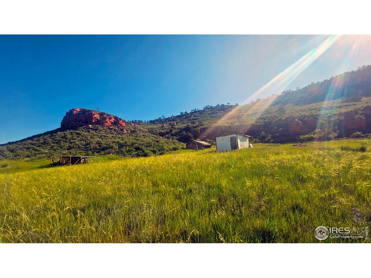 1364 Redbluff Road Livermore, CO 80536 - Photo 24 of 26 a black and white photo of a big room