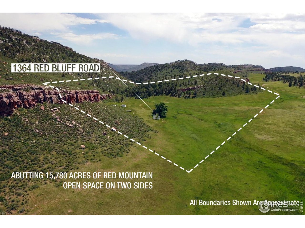 1364 Redbluff Road Livermore, CO 80536 - Photo 3 of 26 a view of a field