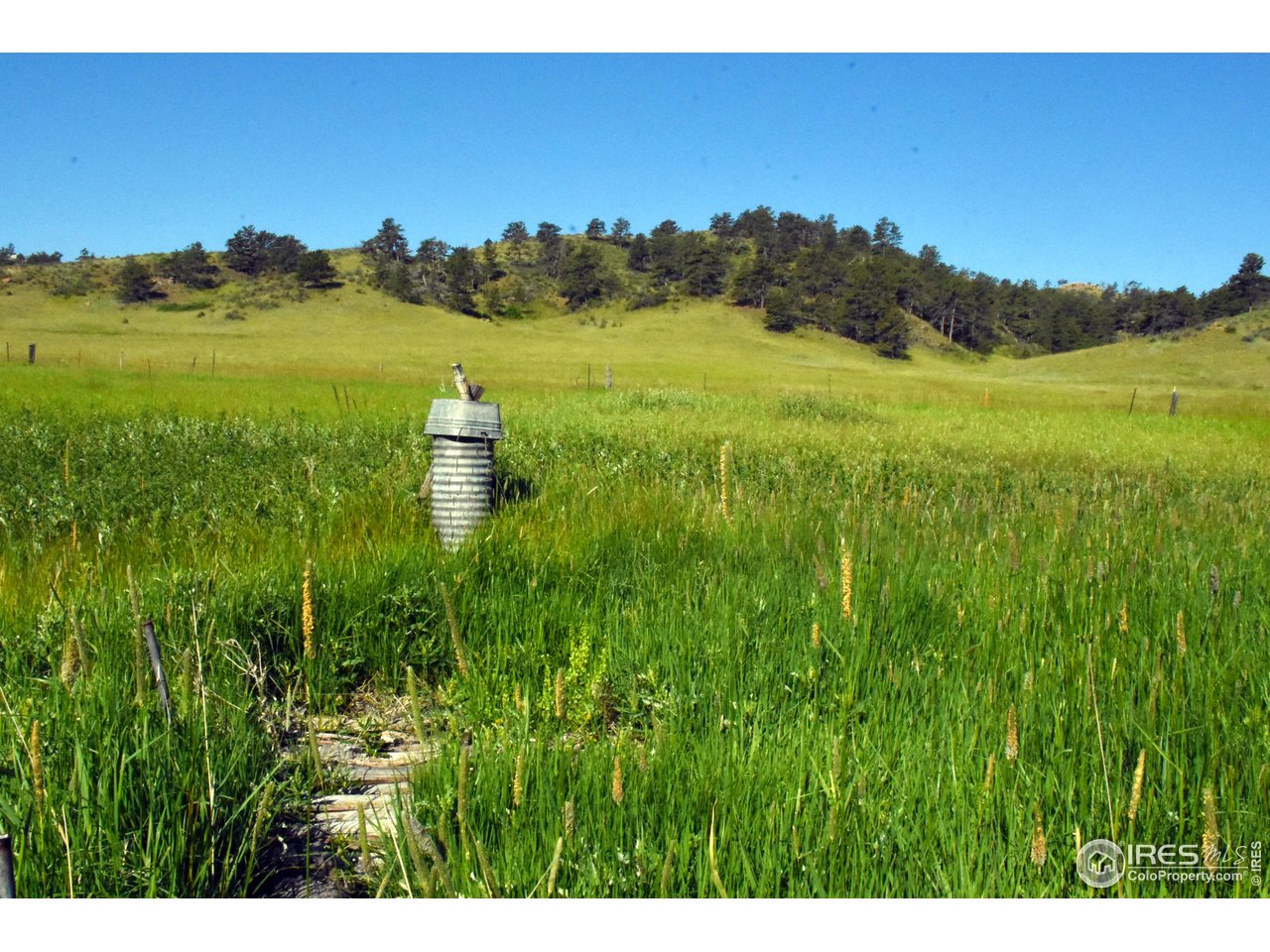 1364 Redbluff Road Livermore, CO 80536 - Photo 5 of 26 a view of a lush green space with sea