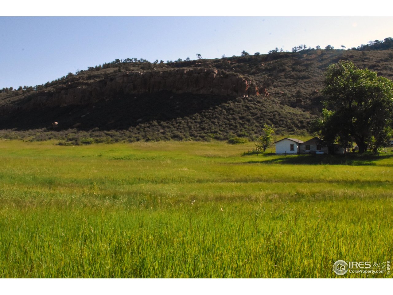 1364 Redbluff Road Livermore, CO 80536 - Photo 8 of 26 a view of an ocean and mountain
