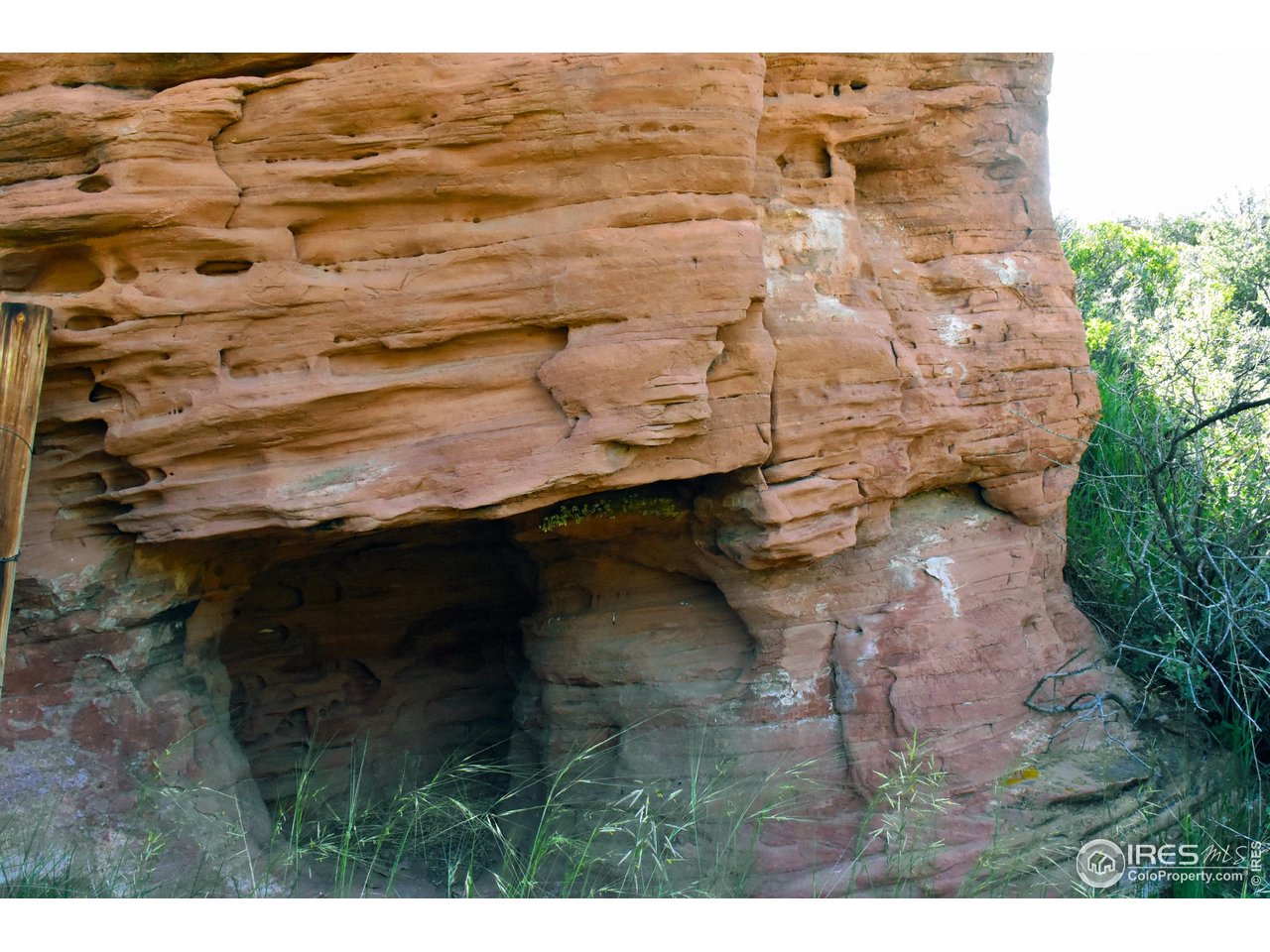 1364 Redbluff Road Livermore, CO 80536 - Photo 9 of 26 a view of terrace