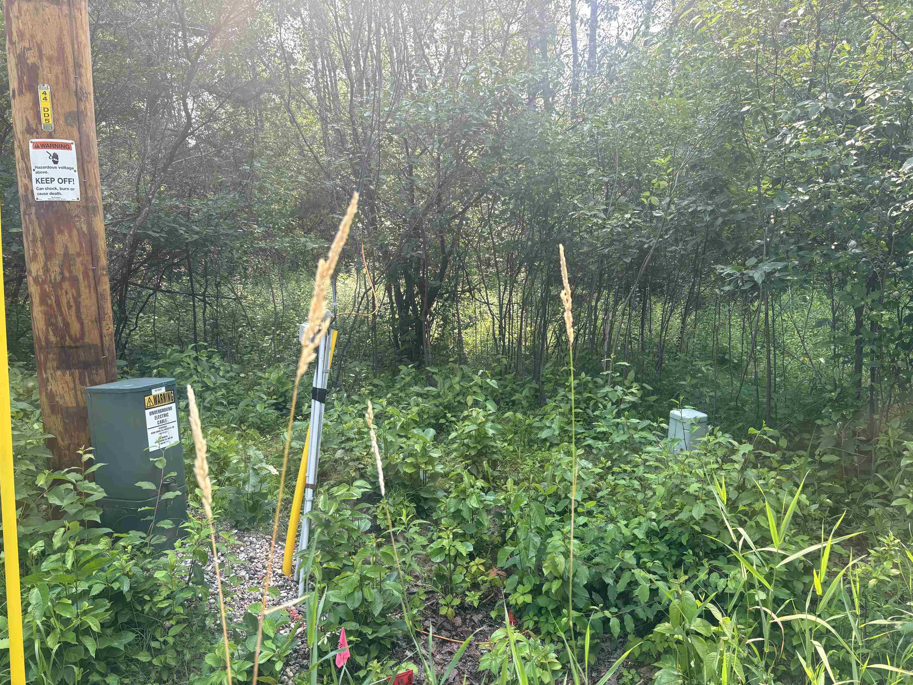 Lot 2 Forest Street Street Stevens Point, WI 54481 - Photo 1 of 1