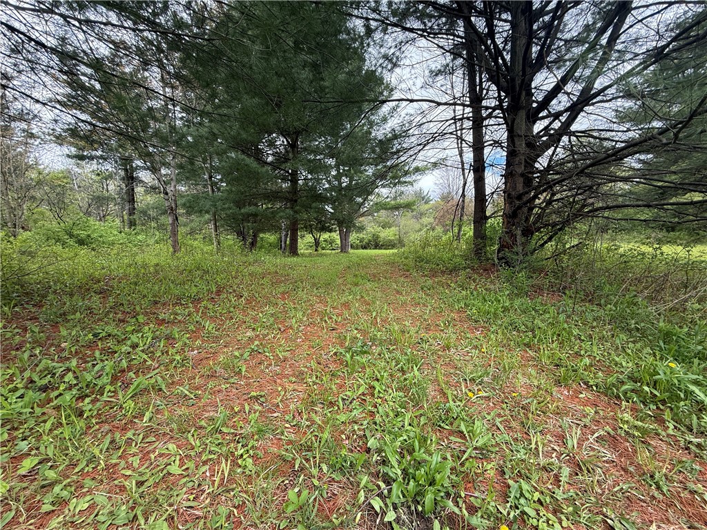 Caswell Road Freeville, NY 13068 - Photo 37 of 47