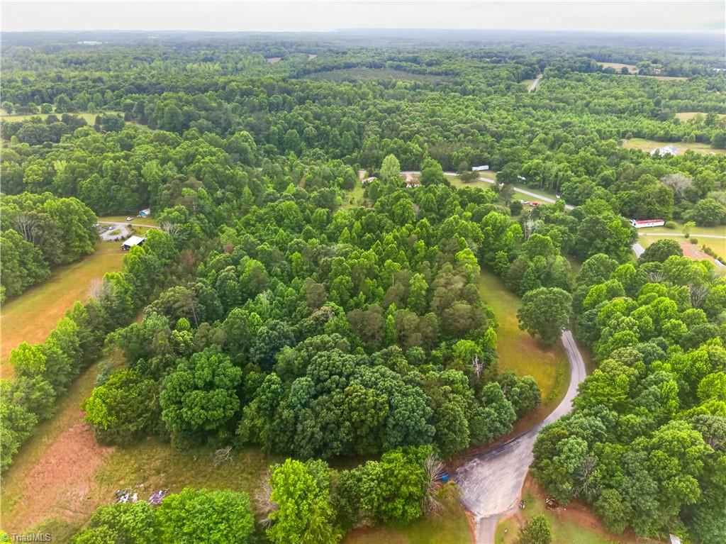 7436 Chaseford Road Liberty, NC 27298 - Photo 7 of 14