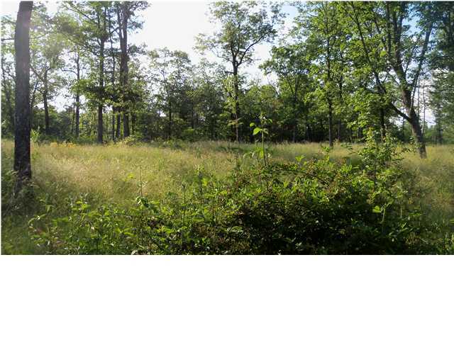 302 Shady Oaks Road Dayton, TN 37321 - Photo 1 of 1 Primary Photo