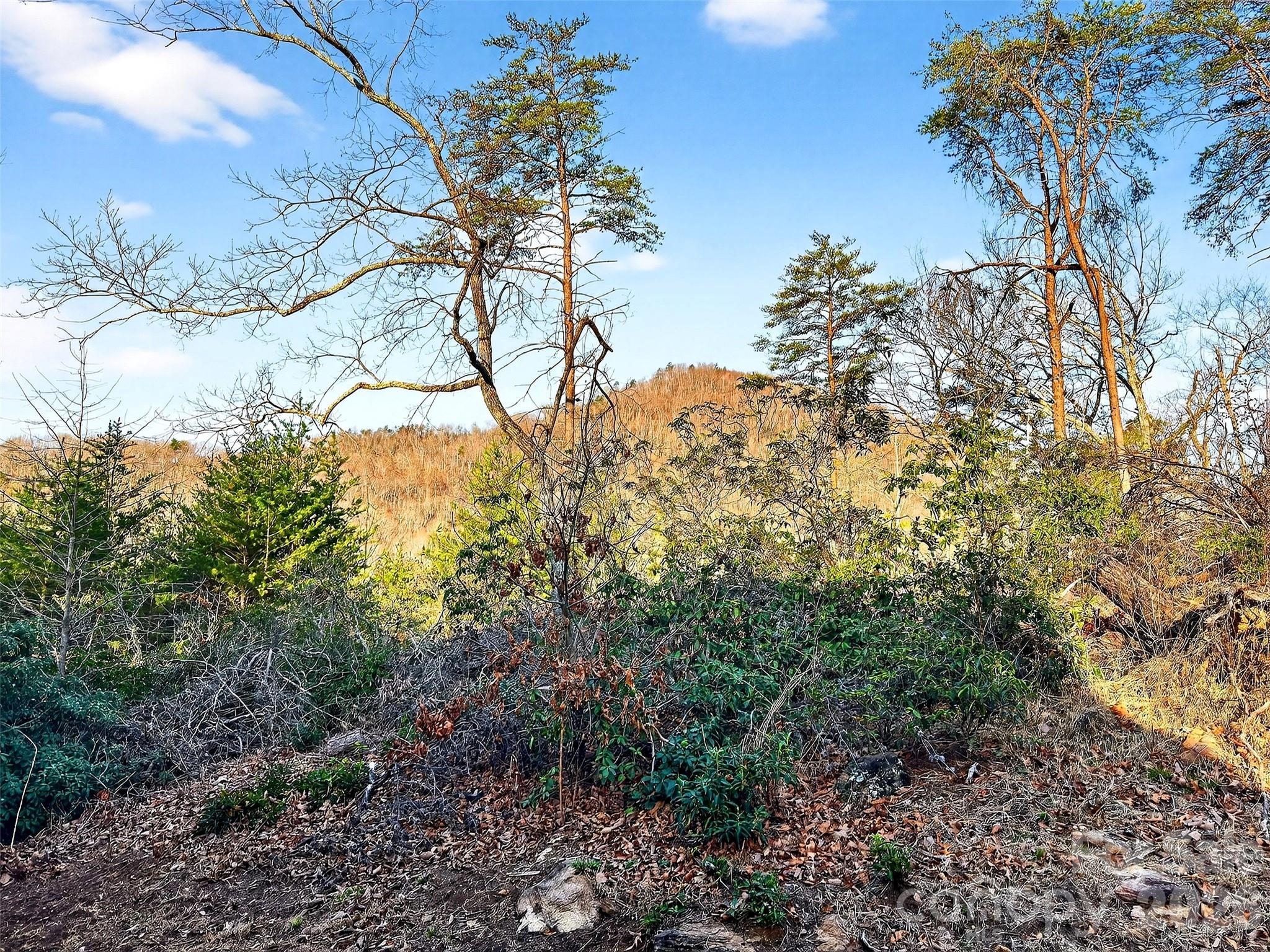 345 Lower Switchback Road Union Mills, NC 28167 - Photo 30 of 35