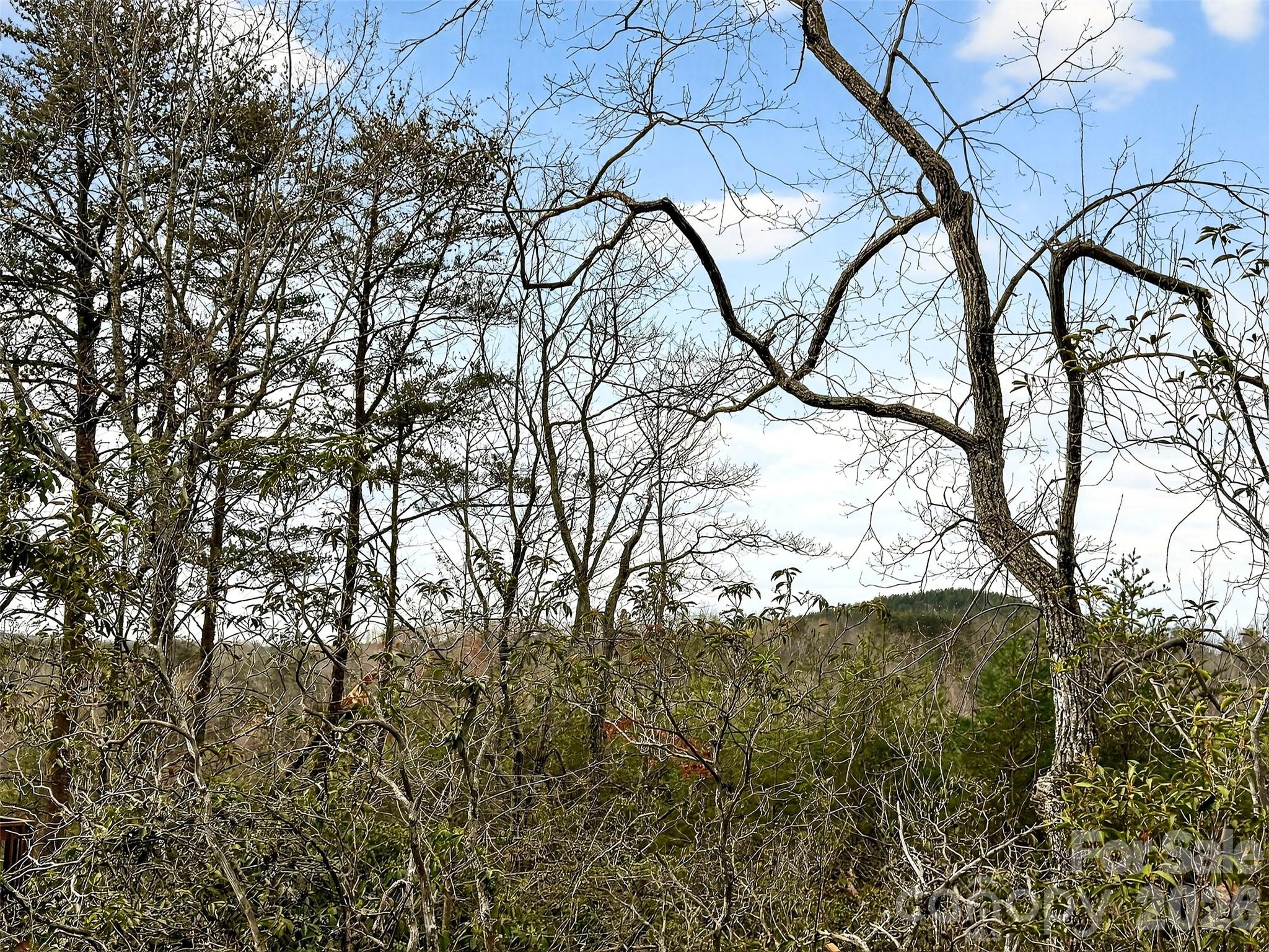 345 Lower Switchback Road Union Mills, NC 28167 - Photo 31 of 35